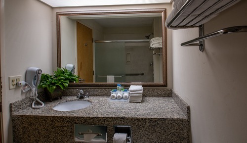 Habitación estándar, 1 cama de matrimonio grande (Accessible King Non-Smoking)