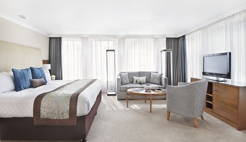 Suite junior, 1 cama de matrimonio grande con sofá cama