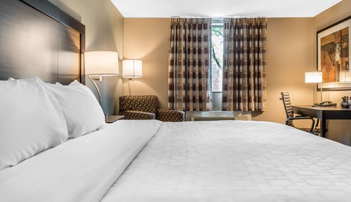 Habitación estándar, 1 cama de matrimonio grande, no fumadores