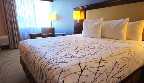 Habitación estándar, 1 cama de matrimonio grande, no fumadores, frigorífico y microondas