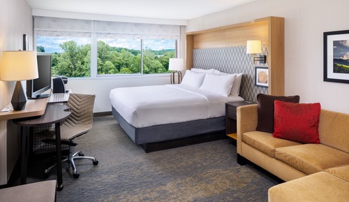 Habitación estándar, 1 cama de matrimonio grande