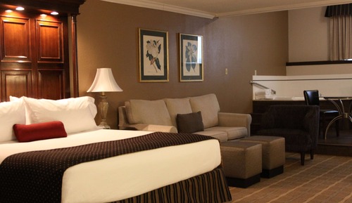 Suite, 1 cama de matrimonio grande, no fumadores