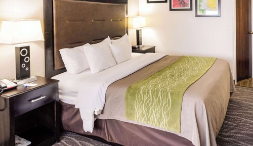 Habitación estándar, 1 cama de matrimonio grande, no fumadores