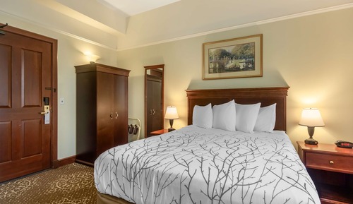 Habitación estándar, 1 cama de matrimonio grande, no fumadores