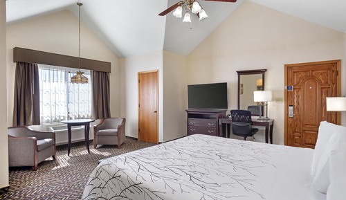 Habitación estándar, 1 cama de matrimonio grande, no fumadores