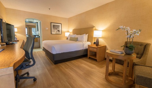 Habitación estándar, 1 cama de matrimonio grande, no fumadores, frigorífico
