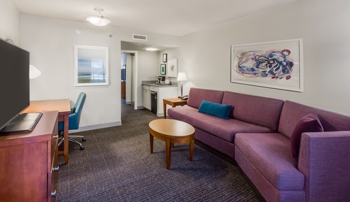 Suite, 1 habitación