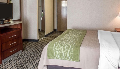 Habitación estándar, 1 cama de matrimonio grande