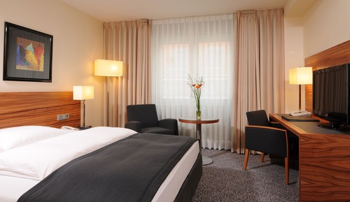 Habitación clásica, 1 cama de matrimonio