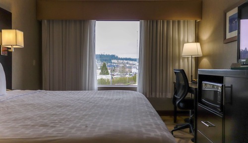 Habitación estándar, 1 cama de matrimonio grande, frigorífico y microondas, vistas a la ciudad