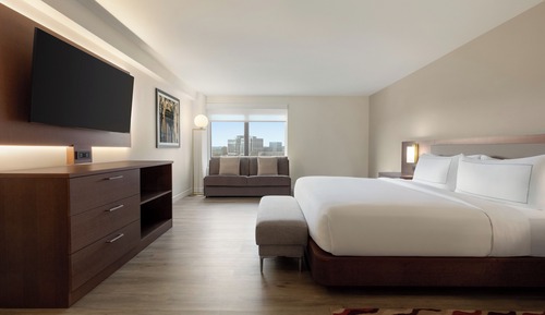 Room, 1 King Bed; Mobility, Shower (Newly Renovated)