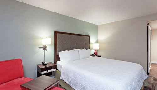Habitación, 1 cama de matrimonio grande, accesible para personas con discapacidad (Hearing)