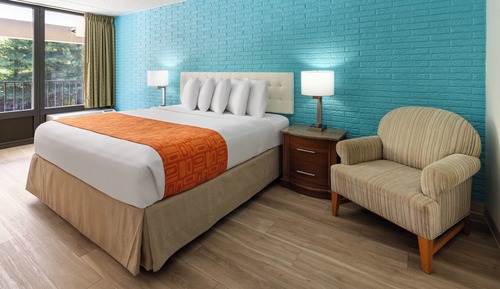 Habitación individual estándar (King Room Disability Access)
