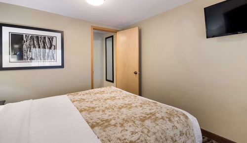 Habitación estándar, 1 cama de matrimonio grande, no fumadores, microondas