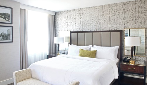 Habitación, 1 cama de matrimonio grande con sofá cama