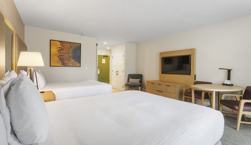 Habitación estándar, 2 camas de matrimonio
