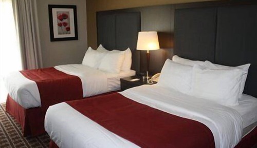 Habitación estándar, 2 camas de matrimonio, no fumadores