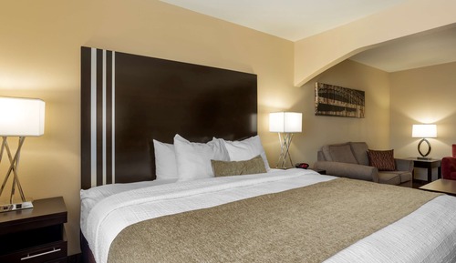 Habitación estándar, 1 cama de matrimonio grande, no fumadores, frigorífico y microondas