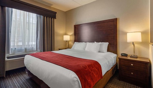 Suite, no fumadores, planta baja (Upgrade)