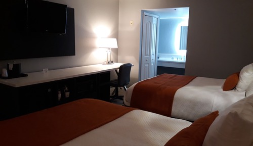 Habitación estándar, 2 camas de matrimonio, no fumadores (Pet-Friendly)