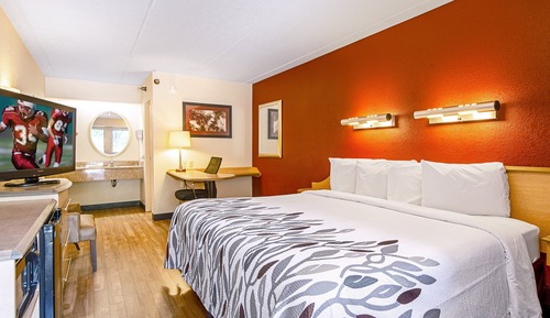 Habitación Deluxe, 1 cama de matrimonio grande (Smoke Free)