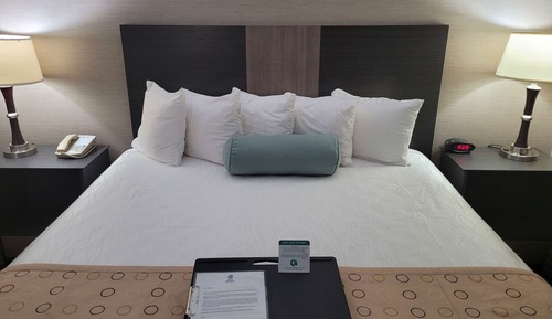 Suite ejecutiva, 1 cama de matrimonio grande, no fumadores, frigorífico y microondas