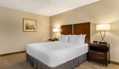 Habitación estándar, 1 cama de matrimonio grande, no fumadores, frigorífico