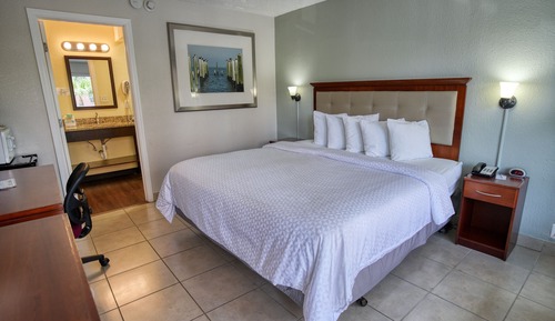 Habitación individual estándar, 1 cama de matrimonio grande