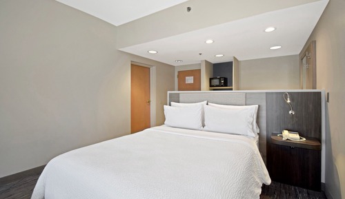 Suite, 1 habitación, ducha adaptada (Mobility, Roll-In Shower)