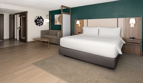 Habitación Premium, 1 cama de matrimonio grande