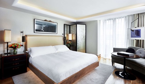 Contemporary Deluxe Room