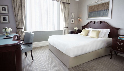 Superior Single Room