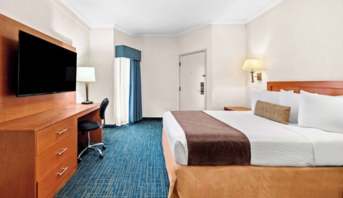 Suite, varias camas, no fumadores (Living Room;Walk-in Shower)