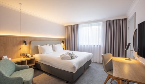 Habitación estándar, 1 cama doble, accesible para personas con discapacidad