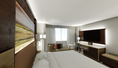 Habitación, 1 cama de matrimonio grande con sofá cama