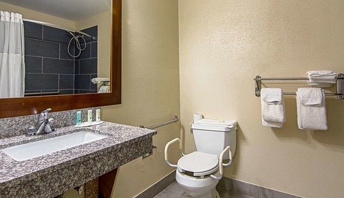Habitación, 1 cama doble, accesible para personas con discapacidad, no fumadores
