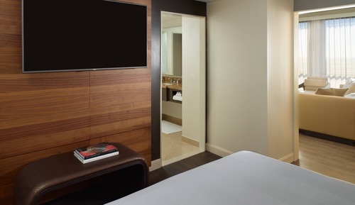 Suite ejecutiva, 1 cama de matrimonio grande con sofá cama