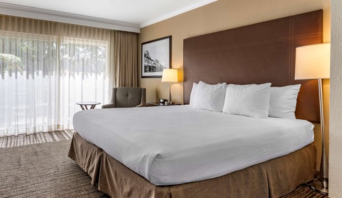 Habitación estándar, 1 cama de matrimonio grande, no fumadores, frigorífico y microondas