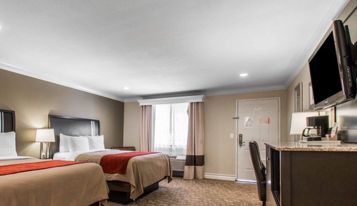 Habitación estándar, 2 camas de matrimonio, no fumadores