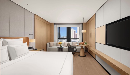 Swiss, Habitación, 1 cama de matrimonio grande, vistas a la ciudad