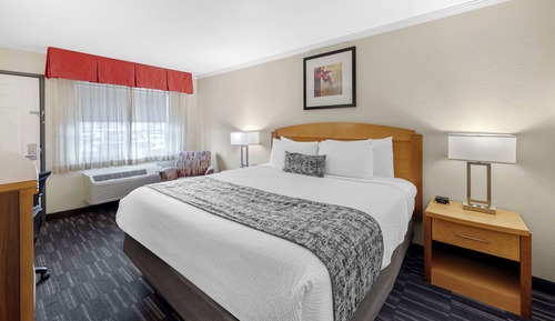 Habitación estándar, 1 cama de matrimonio grande, no fumadores, frigorífico y microondas