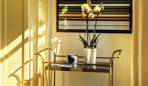 Suite (Belgravia Terrace)