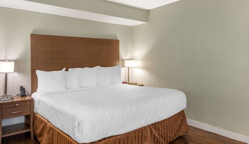 Habitación estándar, 1 cama de matrimonio grande, no fumadores, frigorífico y microondas