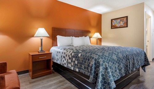 Habitación estándar, 1 cama de matrimonio grande, no fumadores