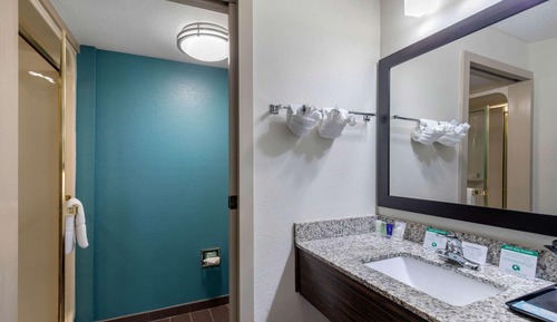 Habitación estándar, 1 cama de matrimonio grande, no fumadores, microondas