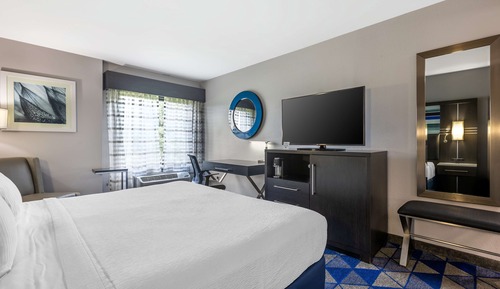 Habitación estándar, 1 cama de matrimonio grande, no fumadores, frigorífico y microondas