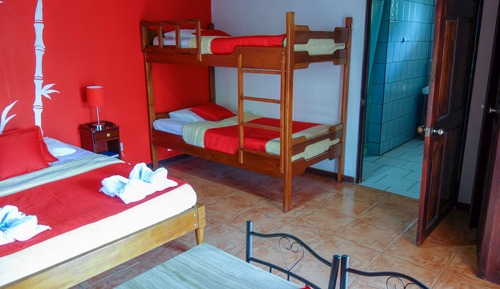 Habitación estándar con 1 cama doble o 2 individuales