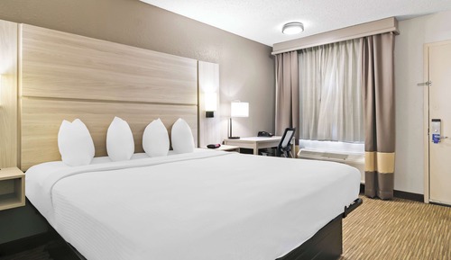 Habitación estándar, 1 cama de matrimonio grande, no fumadores, frigorífico y microondas