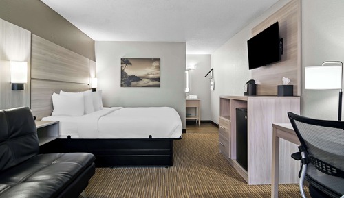 Suite, 1 cama de matrimonio grande, no fumadores, planta baja (with Sofabed)