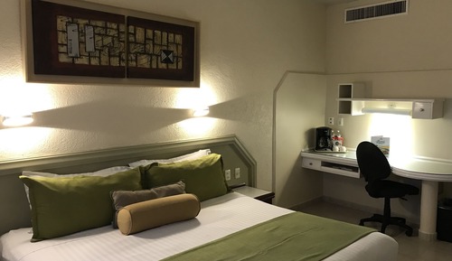 Suite ejecutiva, 1 cama de matrimonio grande